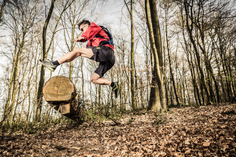 raus in den Wald